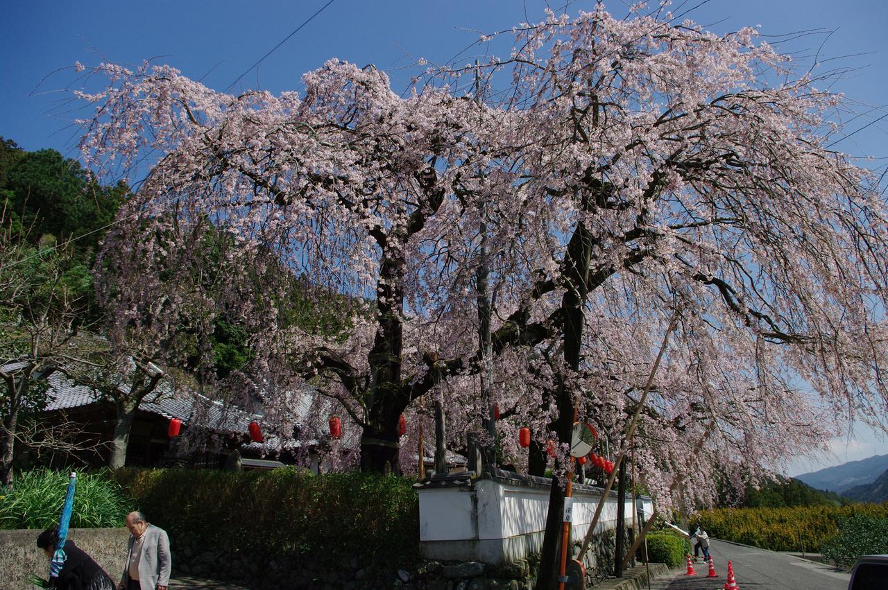 Kamiyama Onsen Hotel Shikinosato & Iyashinoyu Τοκουσίμα Εξωτερικό φωτογραφία